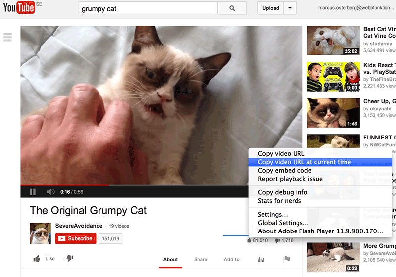 Bild 24: På exempelvis Youtube kan man länka till en valfri startpunkt i ett videoklipp.